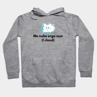 iCloud speaks! Hoodie